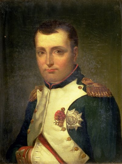 Napoleon Bonaparte door Jacques Louis David